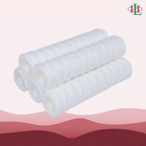 Lõi lọc WS10A1P