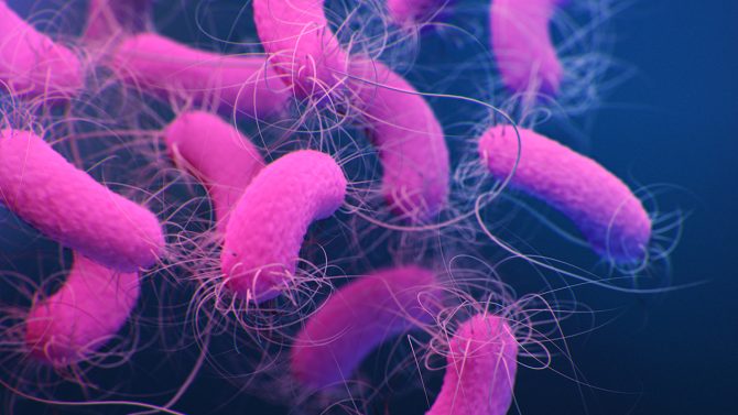 CHUYÊN ĐỀ 4: Bạn nghĩ nước sạch là an toàn? Pseudomonas aeruginosa có thể khiến bạn suy nghĩ lại!